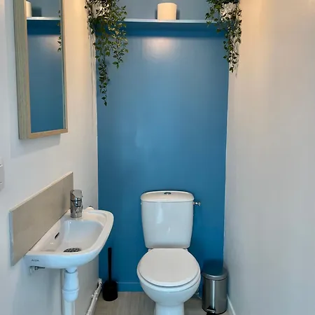 Douceur Stephanoise - T2 Cosy Saint-Etienne (Loire)